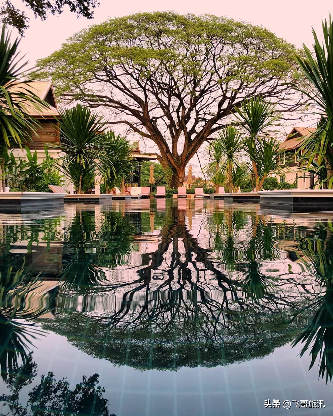 清迈性价比高的酒店推荐,清迈旅游豪华酒店