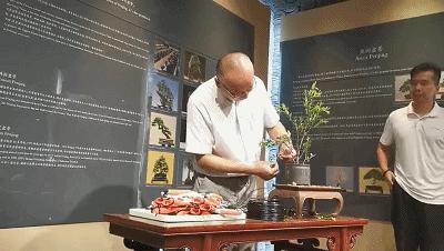 七彩夏日未成年人暑假系列活动,小学生七彩夏日暑假假期活动主题
