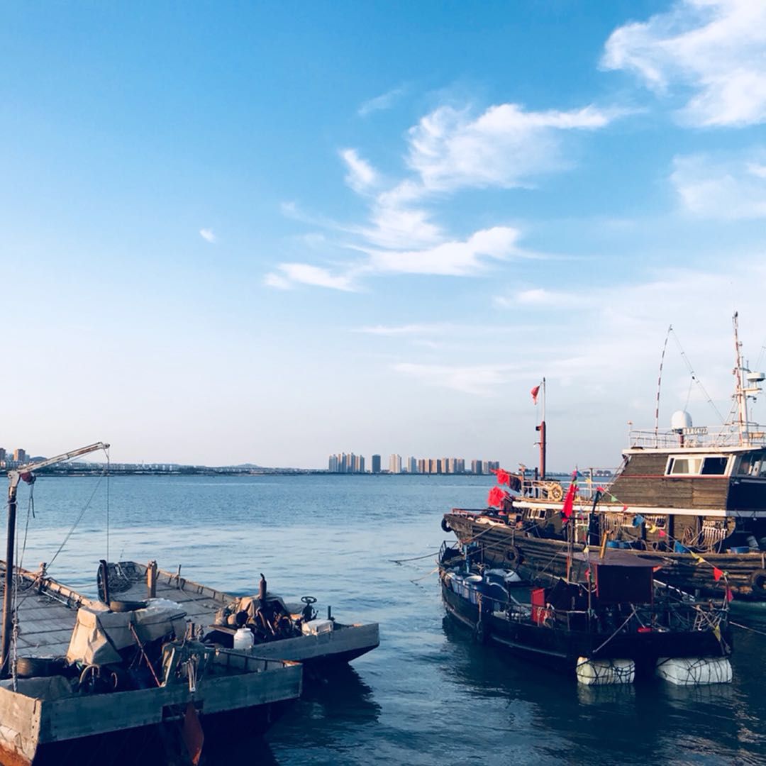 带你一起了解乳山牡蛎,了解威海银滩