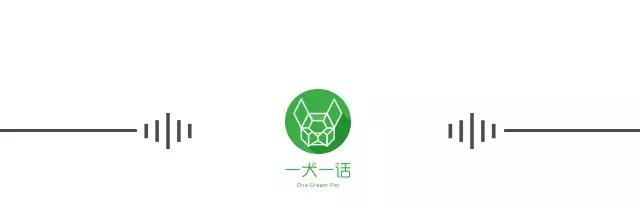 狗狗肉垫护理视频,夏季狗狗冰垫