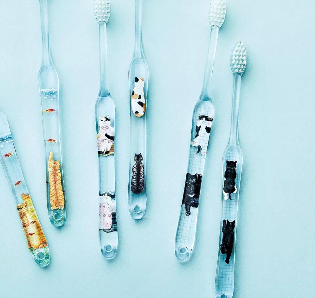 日本人又来骗猫奴们的钱啦！但我心甘情愿掏钱了！