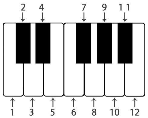 乐理入门到精通100集,乐理课自学从入门到精通