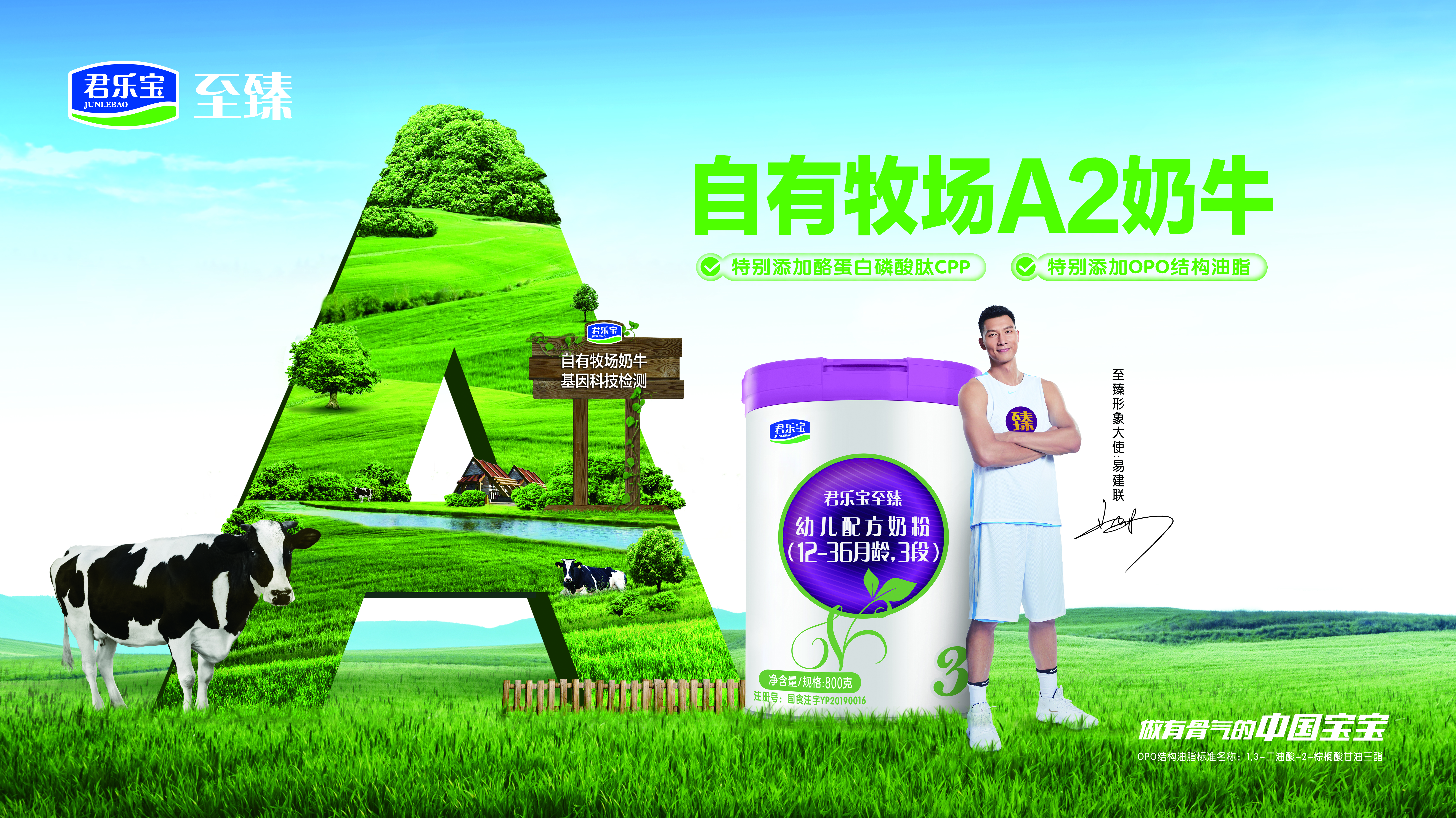 君乐宝要让下一代喝上好奶粉，国产奶粉崛起了