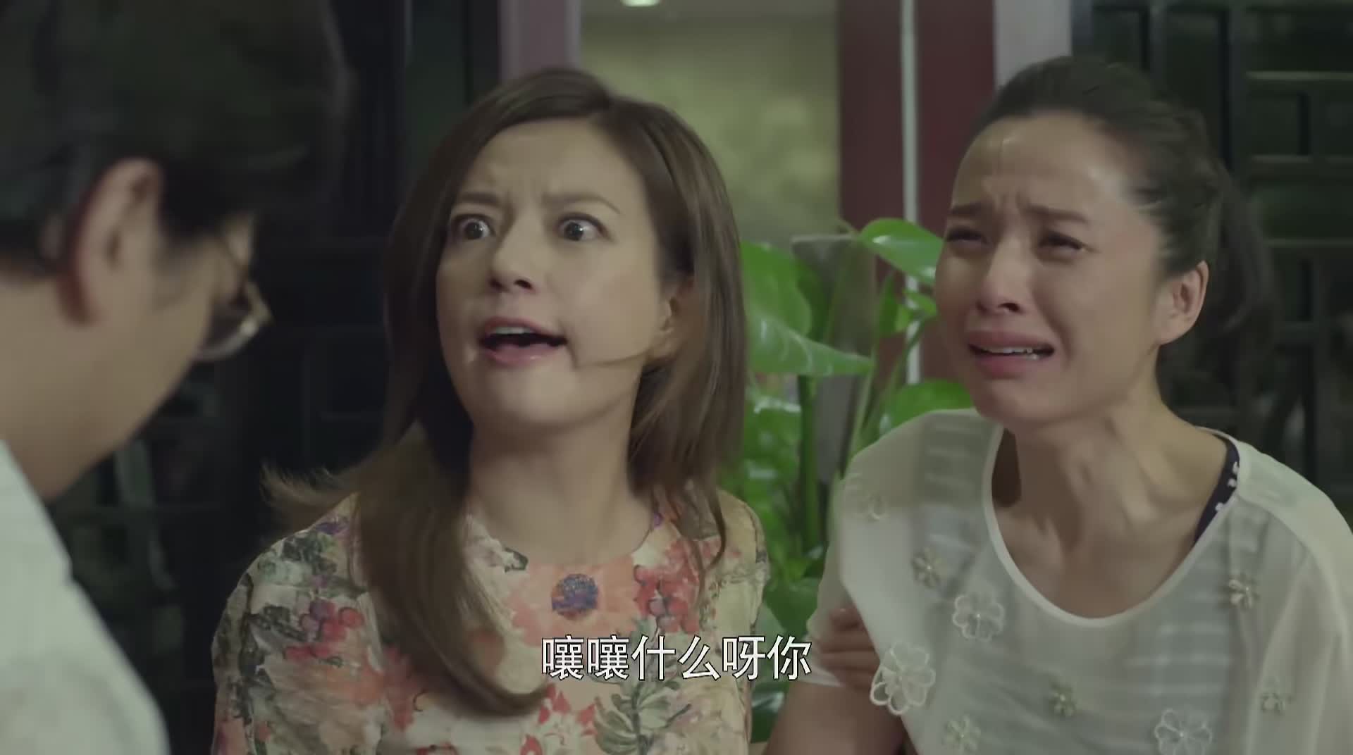 虎妈猫爸童年回忆,虎妈猫爸旧情复燃