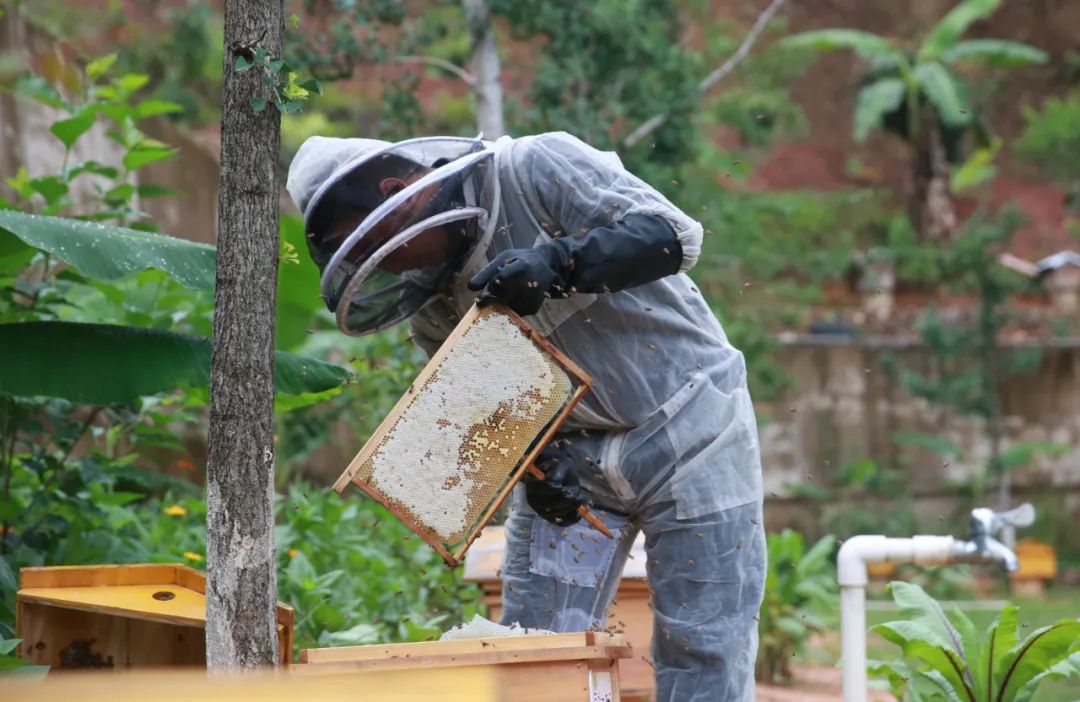 组图：武平县琴韵古筝行六一暨周年庆亲子活动圆满举行