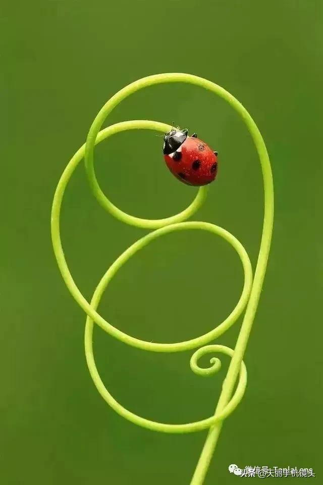 天丽摄影作品集,天丽镜头视频完整版