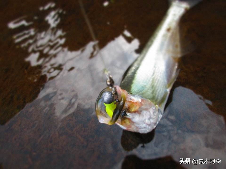 软饵钓组最佳搭配,软饵野钓操作手法