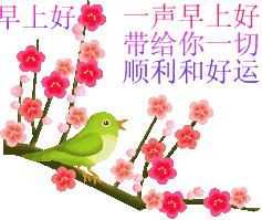 今日春分最美祝福语,今日春分祝福朋友好运
