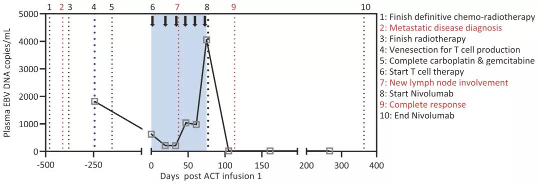 鼻咽癌晚期怎么治疗效果好,鼻咽癌晚期最新疗法