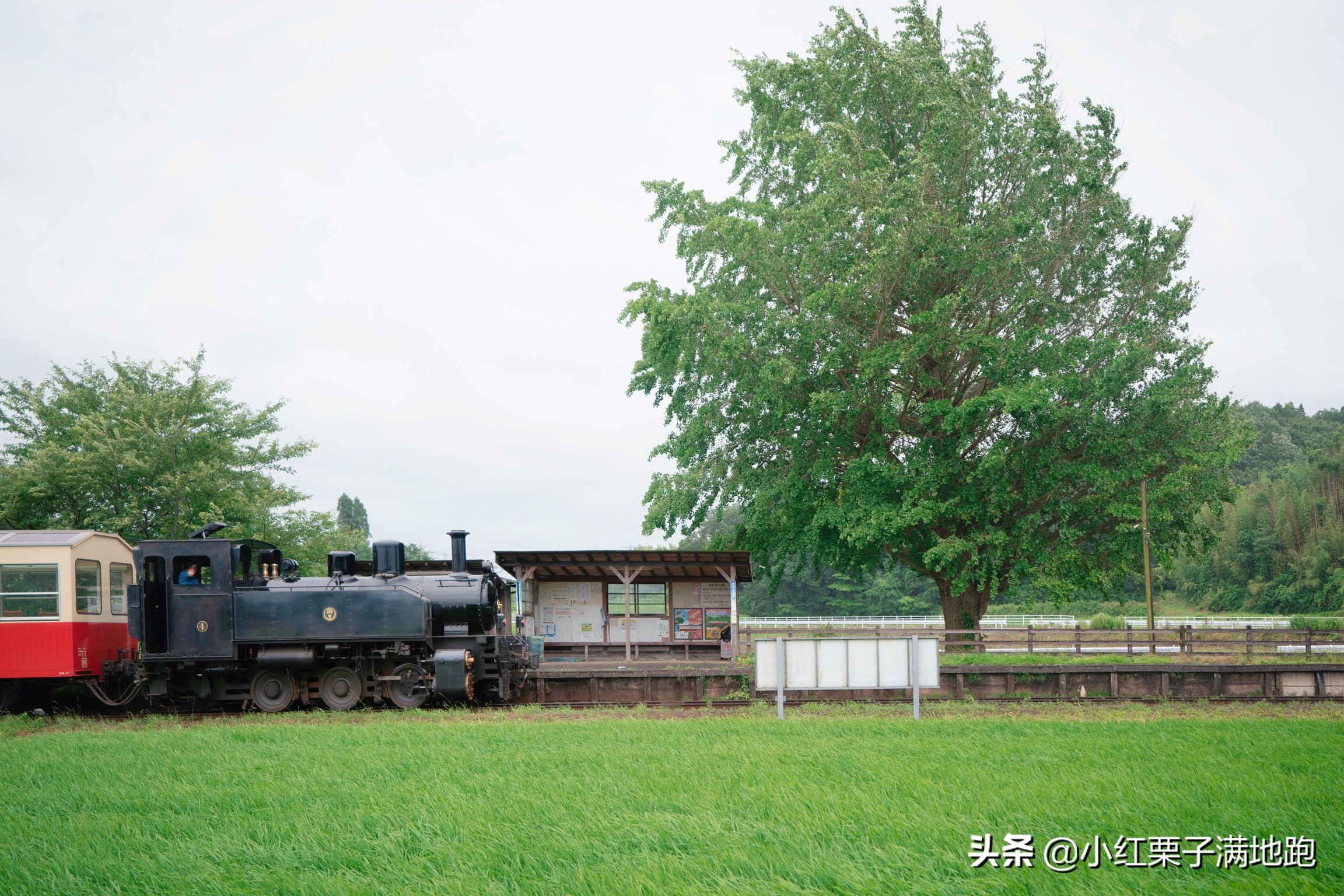东京附近的无人岛,东京看紫阳花的地方
