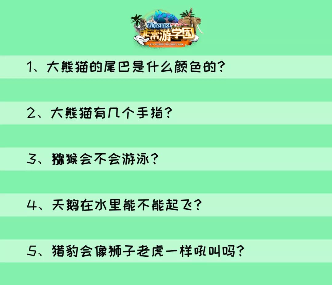 大熊猫相关知识,大熊猫百科知识详细介绍