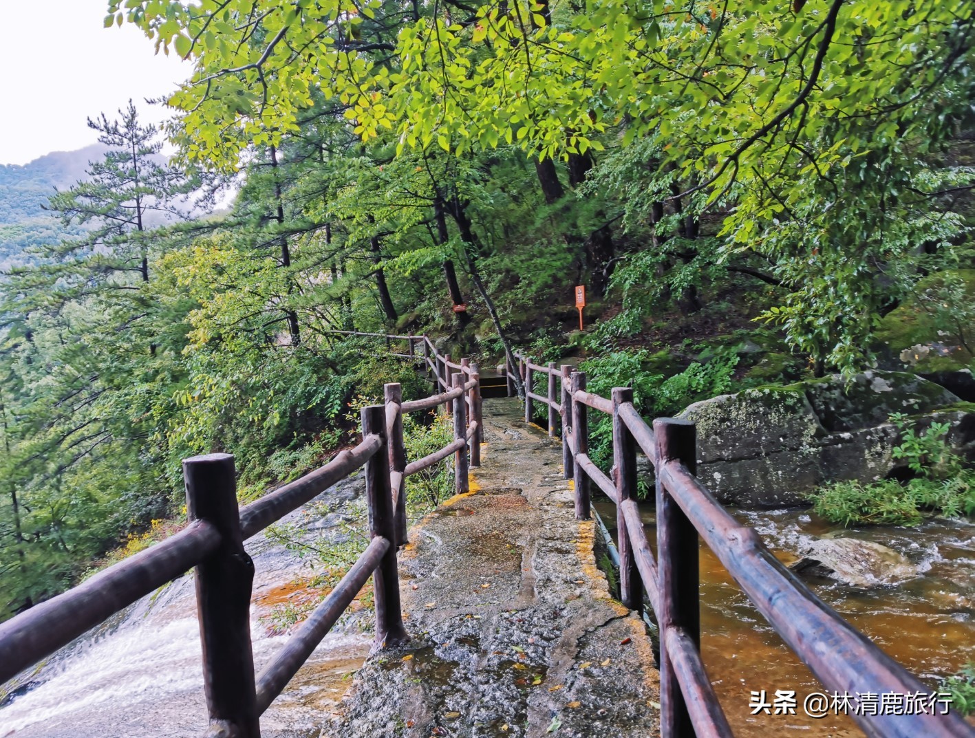 河南避暑玩水的地方,河南省内避暑自驾游
