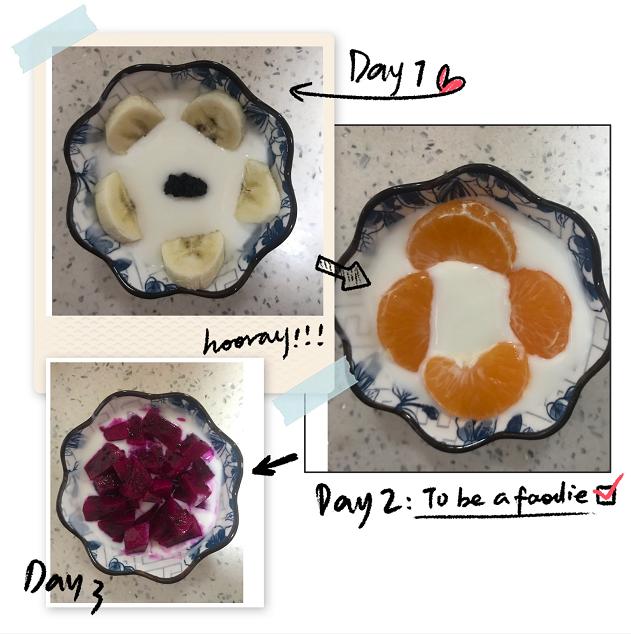 酸奶机有必要买吗,酸奶机的使用说明