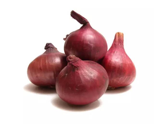狗狗得细小一般熬过几天会好,狗狗得细小的原因有哪些