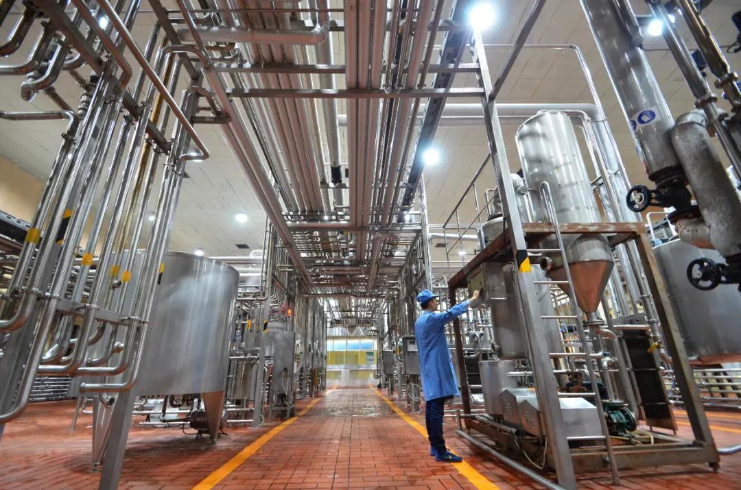 百特国际事迹大全,百特喜抛饼大赛视频