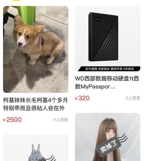 分享在咸鱼转转等二手平台上买狗狗的4种套路，80%的人都会被坑