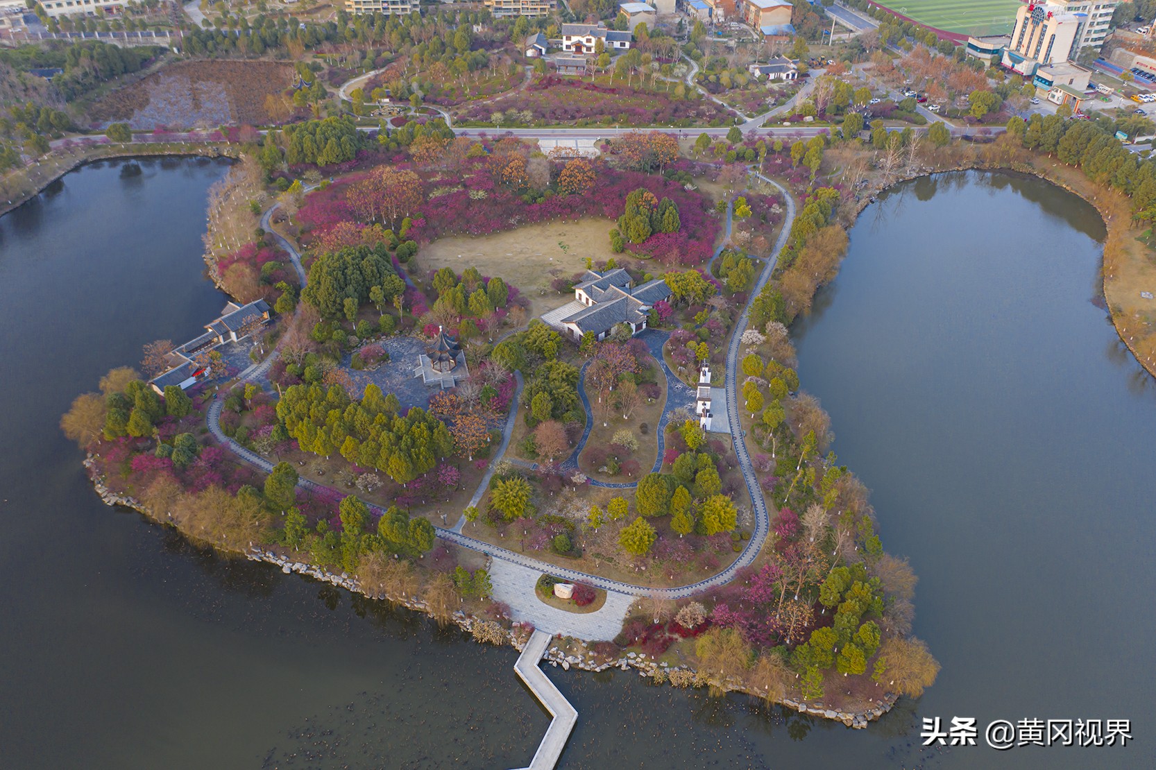 疫战日常,疫期日常