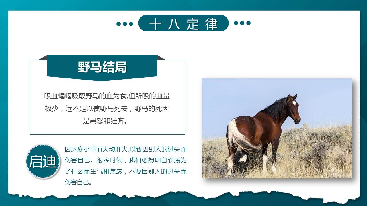 职场心理学培训,职场心理学简单学习