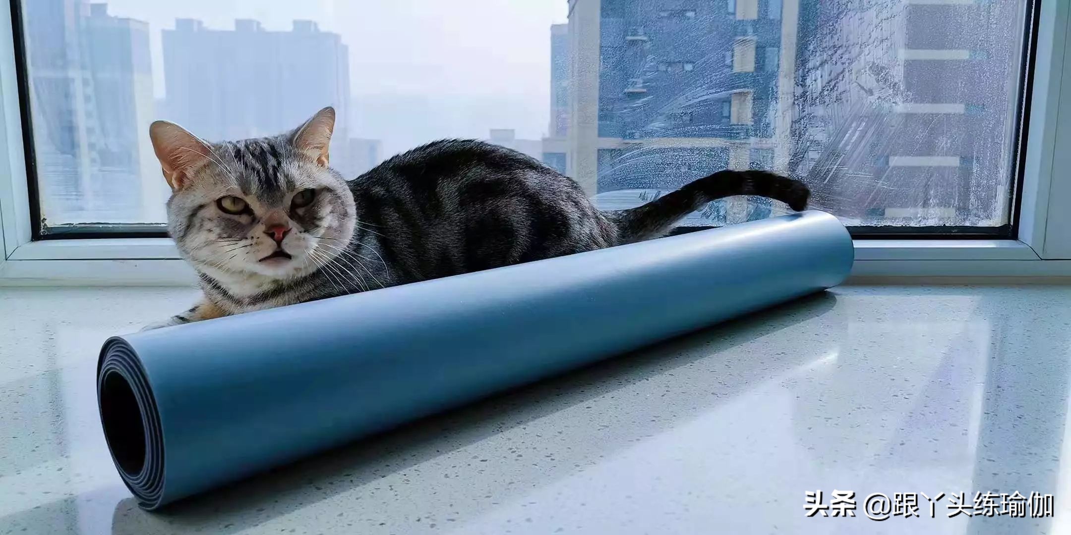 瑜伽垫正确清洁方法,大的瑜伽垫脏了怎么正确清洗