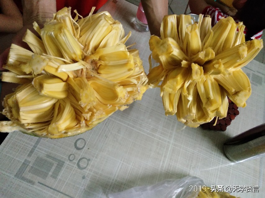 菠萝蜜怎么定价最合理,怎样辨别优质的菠萝蜜