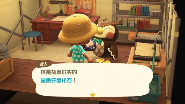 动物之森新手登录教程,动物之森新手攻略手机版