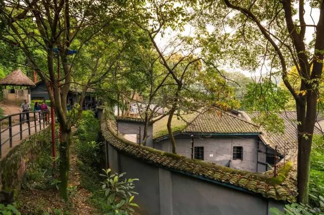 网红城市旅游攻略最全,适合旅游的好玩网红城市推荐