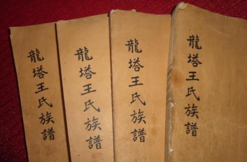 家谱格式100例,最佳的家谱表格式