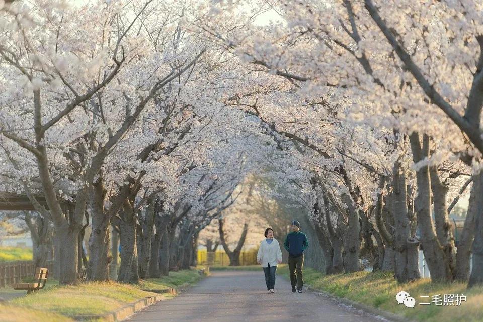 高龄老人胸闷气短治疗案例,老人总是凌晨胸闷气短嗝气