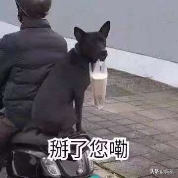 去日本买什么药妆好,去日本必买大牌化妆品