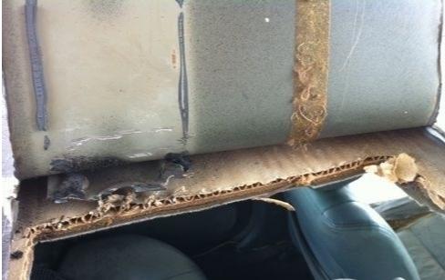 东风日产车企现状,东风日产衰落