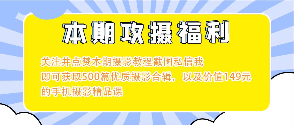 手机超广角镜头简易使用指南,xsmax超广角镜头怎么用