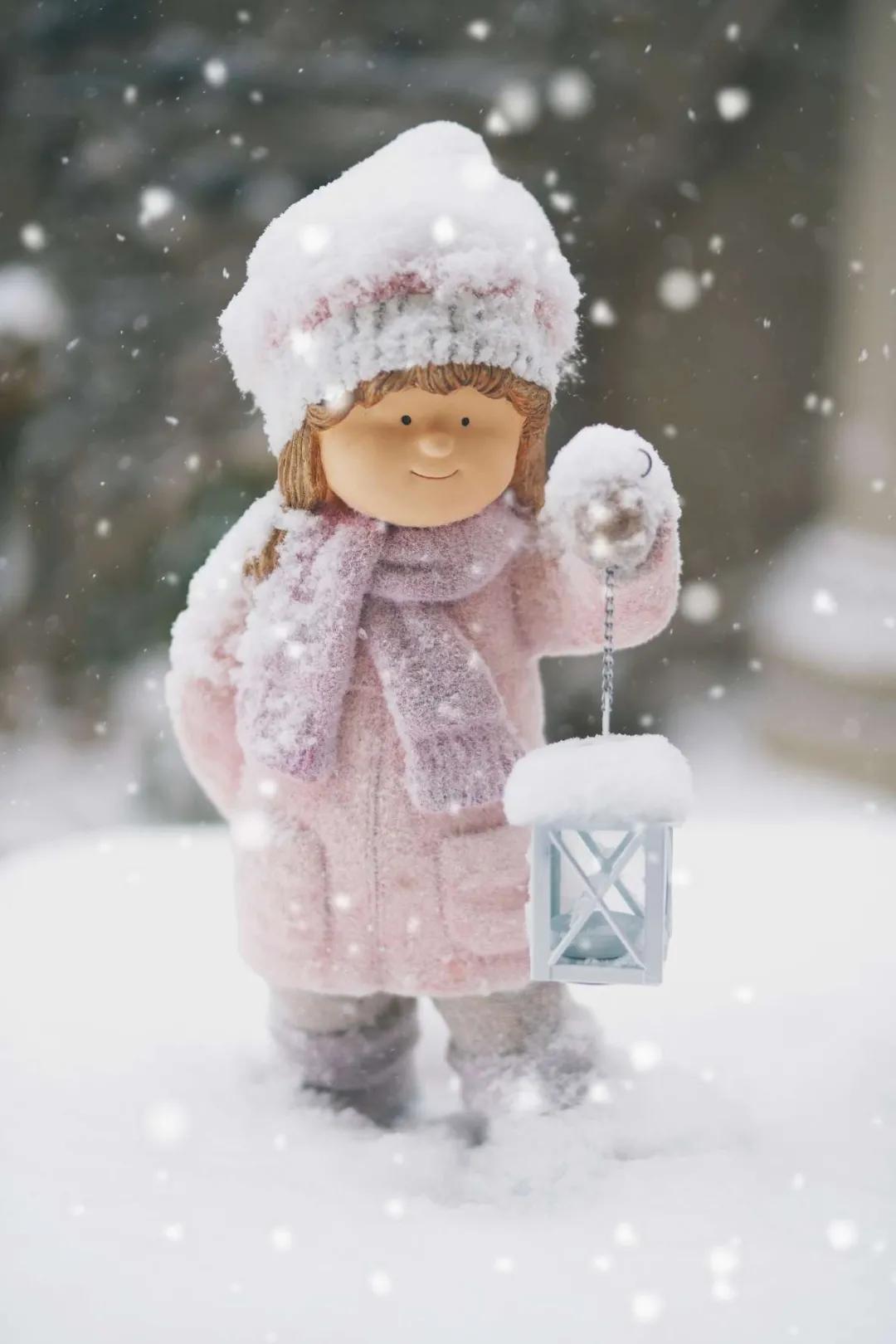 北方一年四季都开花的花园,东北花园四季开花植物