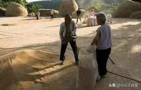 息县一亩三分地,绛县四分指在哪里