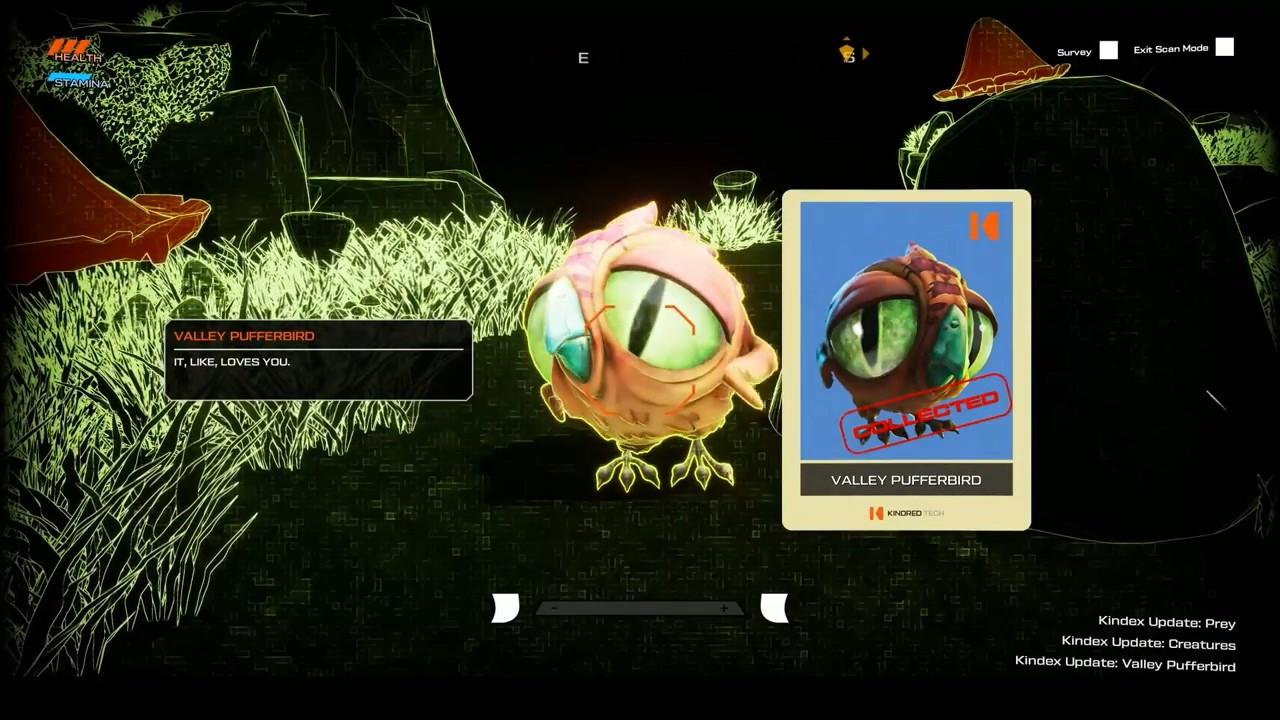 熊猫游戏官方字幕组,熊猫游戏动画合集