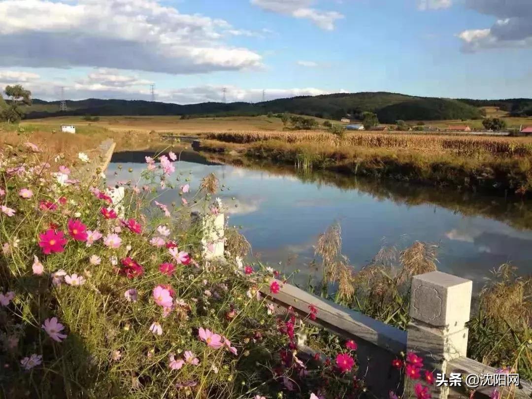 沈阳附近民宿小院,沈阳农村民宿独门独院价格