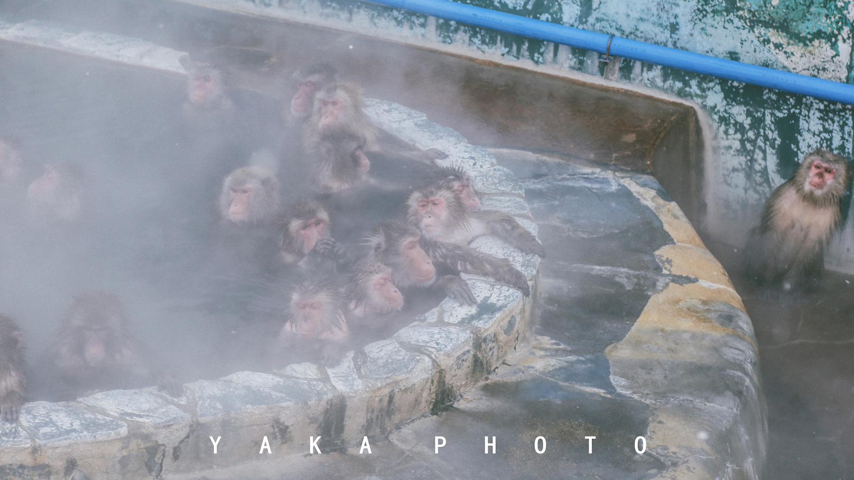 日本北海道函馆二日游自由行攻略,日本人最爱去哪里旅游