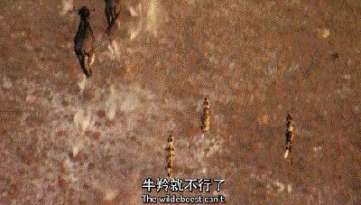 长春家长都领着孩子在干这件事儿，你没做，就落后了！