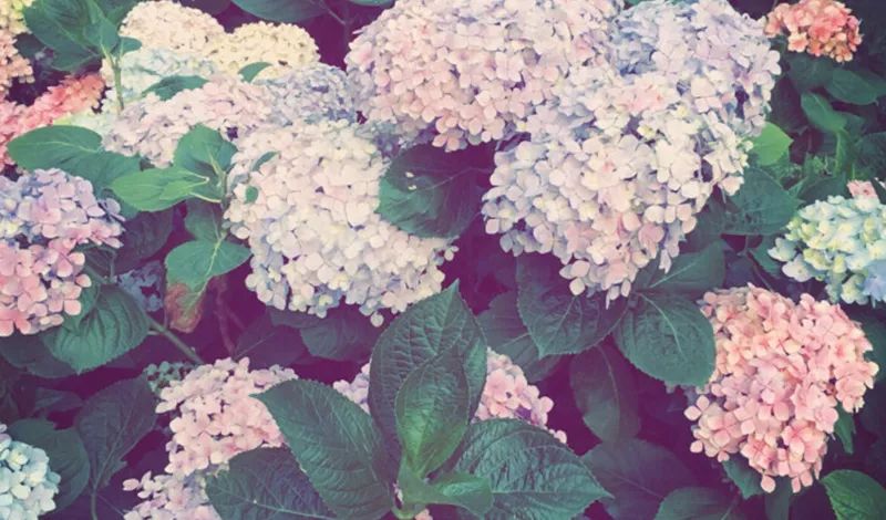 眼球被挖了一个洞还能恢复吗,眼球被挖男孩案