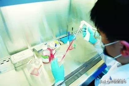 疫苗补种技巧视频,养殖户自购疫苗关注事项