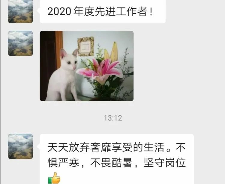 开挂区养多肉,非开挂区怎么把多肉养出态势