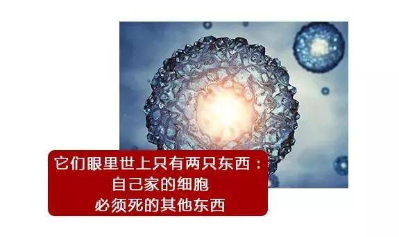 「漫画图解」精子先生“过三关斩六将”的求爱之旅