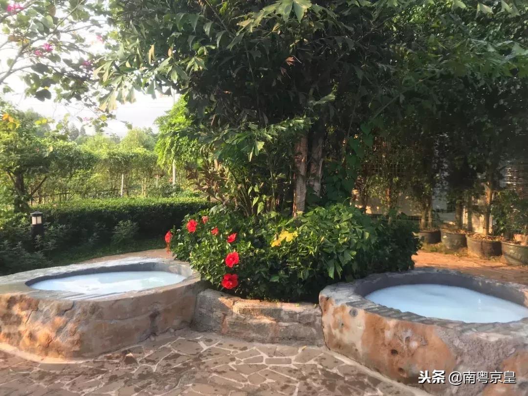 温泉季，到冬无严寒的湛江雷州樟树湾五星温泉度假村二日游