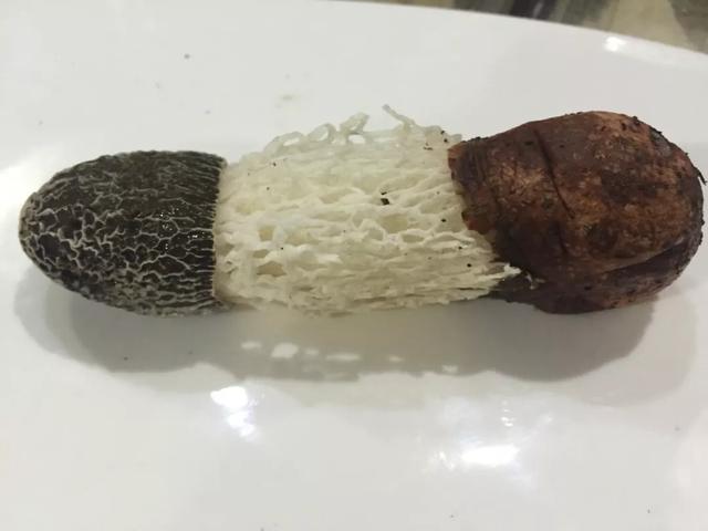 中国顶级奢华美食,中国顶级奢华菜品