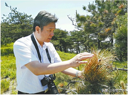 申卫星教授,固戍医院申卫星
