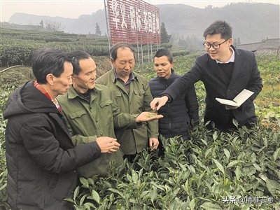 劳动经济学与经济学哪个好就业,经济学劳动经济学就业方向前景