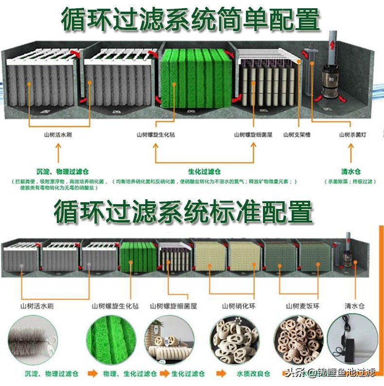 建造观赏性锦鲤池,打造一个锦鲤池要花多少钱