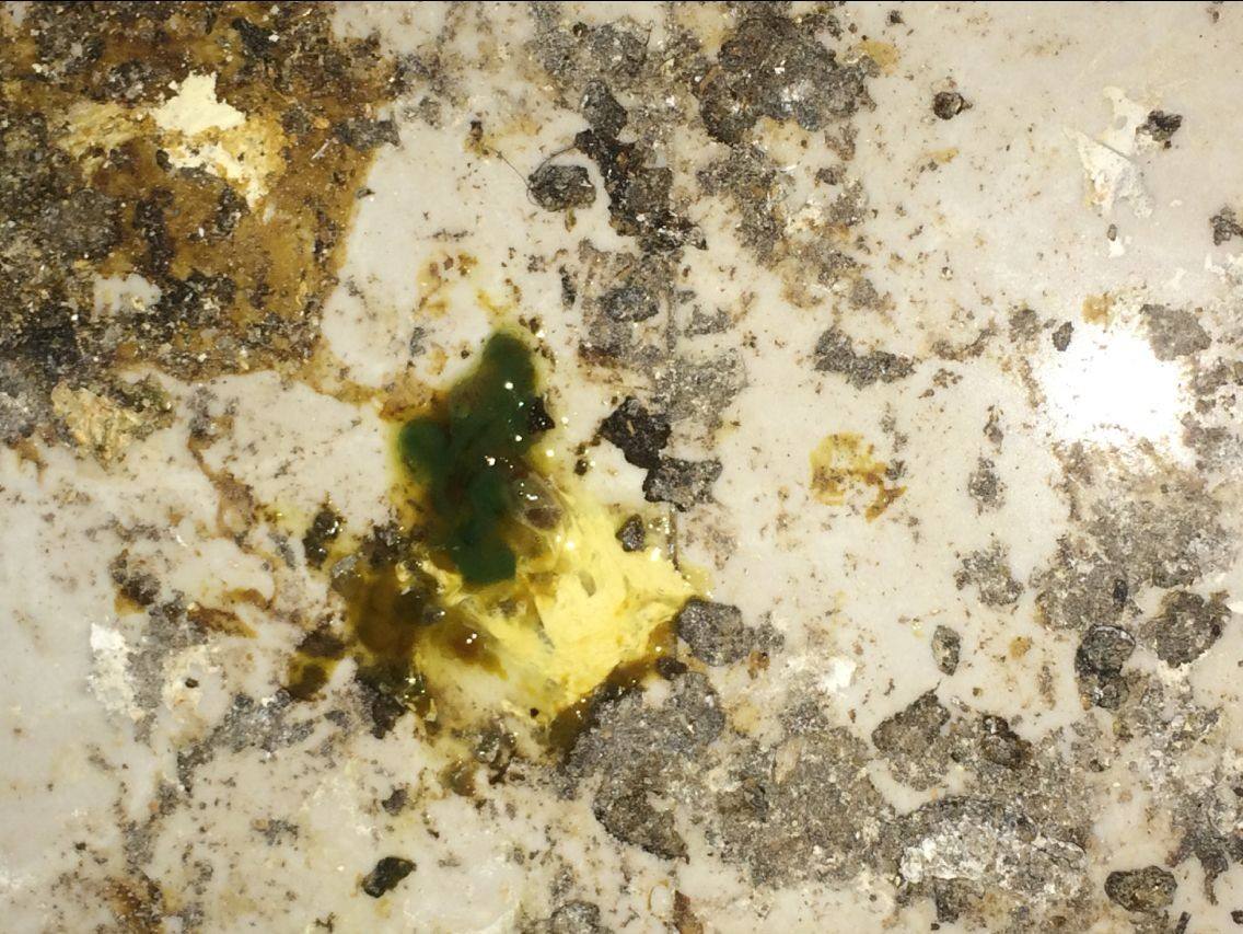 鸡粪对鸡病有什么作用,视察鸡粪怎么判断鸡病