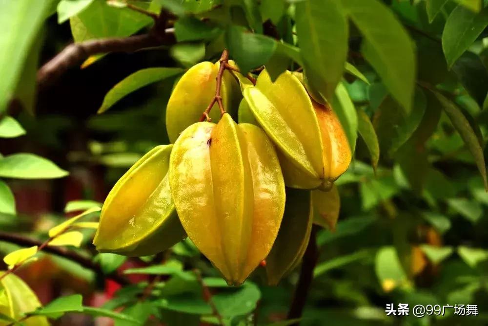 一沾嘴就伤肾的5种食物，有人爱吃！尤其第一种，没几个人知道