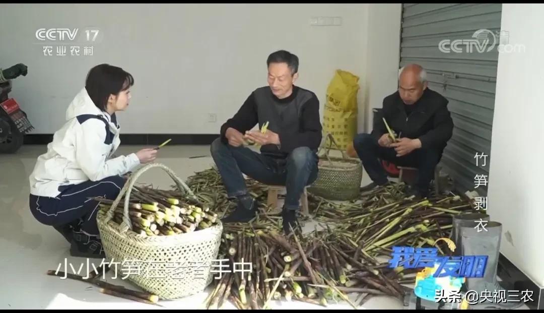 王万能自动剥笋机联系电话,手剥竹笋皮神器