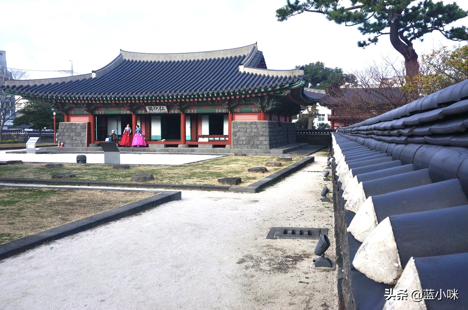 济州岛山君不离完整版,原始济州岛游玩攻略